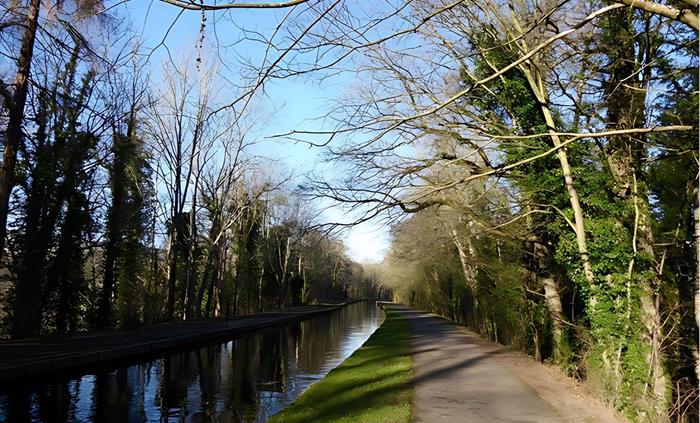 A scenic view of a Llangollen canal lined by Trees, grassed edges and the Towpath.